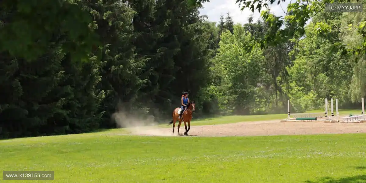 🌟突破极限，每一步都在改写纪录！🏆
